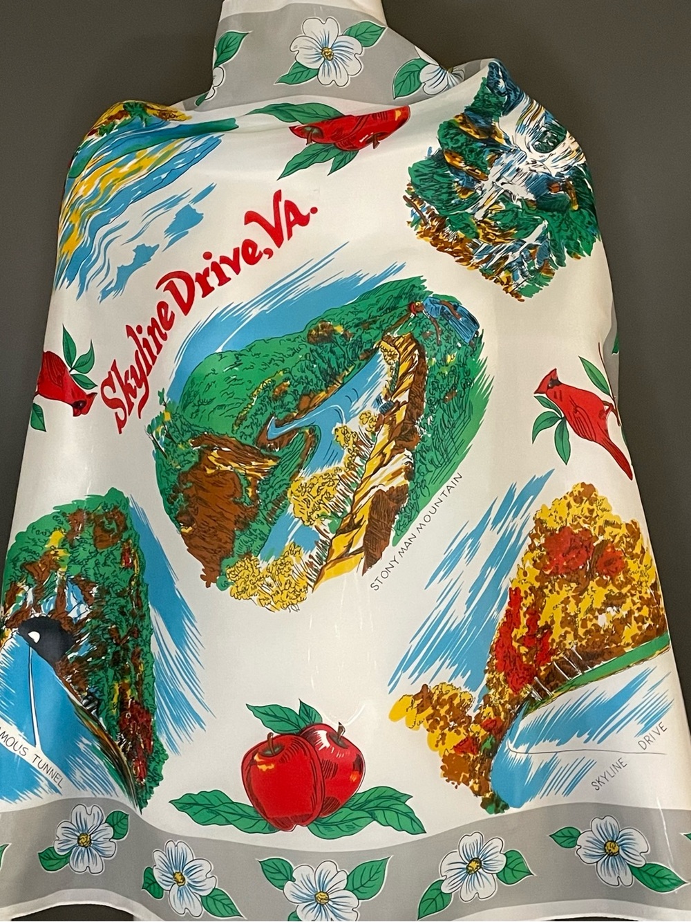 Rare 60s Vintage Sky Line Drive Virginia Scarf Large 28 In Sq Excellent Cond